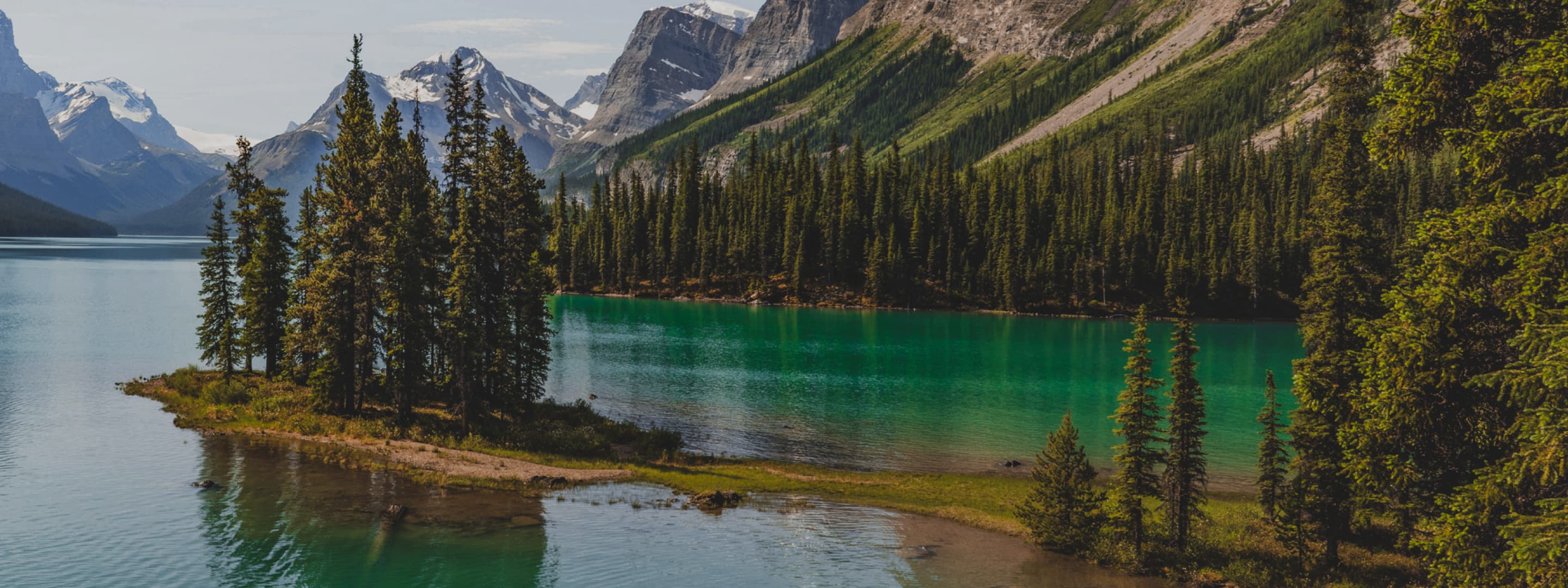 An island of pine trees stands out from a turquoise lake with a mountain backdrop.